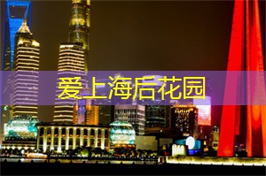 爱上海官网：我不属于这座城市